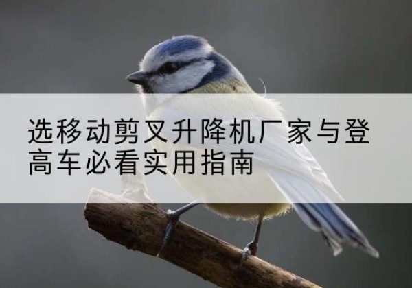 龙山电动升降机厂家-选移动剪叉升降机厂家与登高车必看实用指南