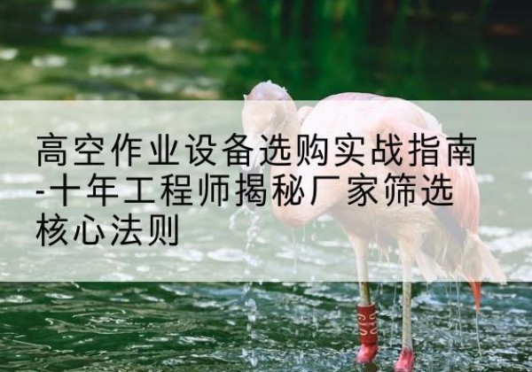 龙山剪叉式升降机厂家-高空作业设备选购实战指南-十年工程师揭秘厂家筛选核心法则